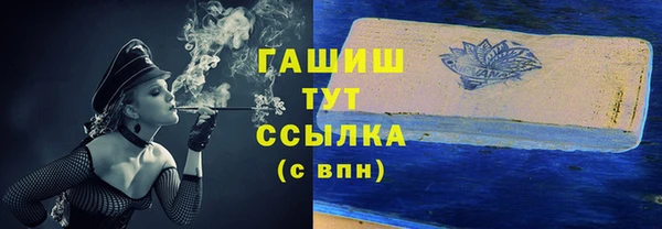 скорость Новозыбков