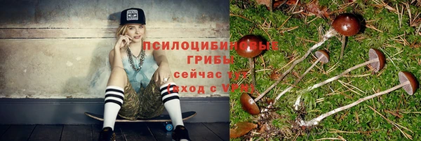 прущие крисы Новодвинск