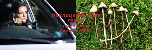 таблы Нея
