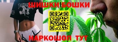 индика Гай