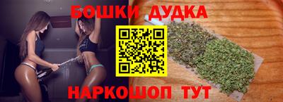 индика Гай