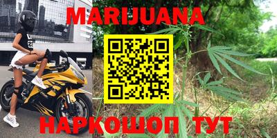 индика Гай
