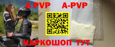 индика Гай