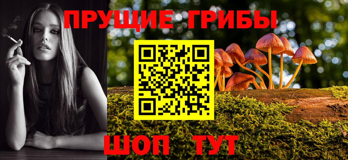 Псилоцибиновые грибы GOLDEN TEACHER Серов